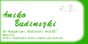 aniko budinszki business card
